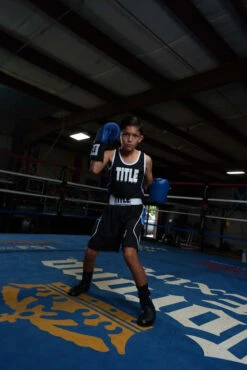 TITLE Boxing USA Boxing Competition Gloves - Elastic -Cheap Boxing Gear Store ACGESBL 1