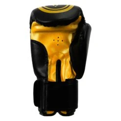 TITLE Classic Speed Boxing Gloves -Cheap Boxing Gear Store CABG12 BK GD 4