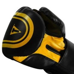 TITLE Classic Speed Boxing Gloves -Cheap Boxing Gear Store CABG12 BK GD 6