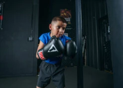 TITLE Classic Boxing Gloves -Cheap Boxing Gear Store CABGBKRD 3