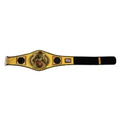 TITLE Boxing Championship Belt -Cheap Boxing Gear Store CLTB134 06