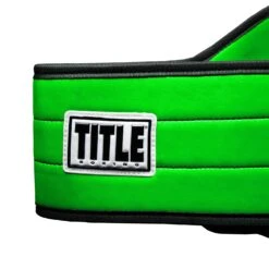 TITLE Boxing World Boxing Champion Title Belt 15 TITLE Boxing World Boxing Champion Title Belt -Cheap Boxing Gear Store CLTB20 GN 4