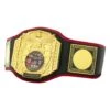 TITLE Boxing Triple Platinum Title Belt -Cheap Boxing Gear Store CLTB203 BK 1