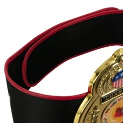 TITLE Boxing Old School Title Belt 14 TITLE Boxing Old School Title Belt -Cheap Boxing Gear Store CLTB207 4
