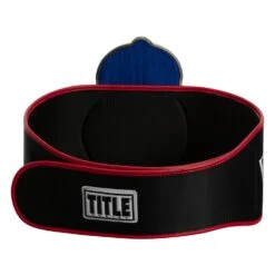 TITLE Boxing Old School Title Belt 16 TITLE Boxing Old School Title Belt -Cheap Boxing Gear Store CLTB207 5