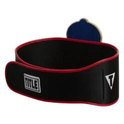 TITLE Boxing Old School Title Belt 17 TITLE Boxing Old School Title Belt -Cheap Boxing Gear Store CLTB207 6