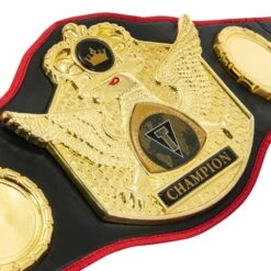 TITLE Boxing Triumphant Wings Of Victory Belt 13 TITLE Boxing Triumphant Wings Of Victory Belt -Cheap Boxing Gear Store CLTB212 BK 3