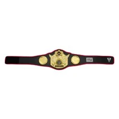 TITLE Boxing Triumphant Wings Of Victory Belt 16 TITLE Boxing Triumphant Wings Of Victory Belt -Cheap Boxing Gear Store CLTB212 BK 6
