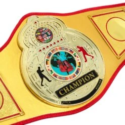 TITLE Boxing Gold Flash Title Belt -Cheap Boxing Gear Store CLTB215 GD 3