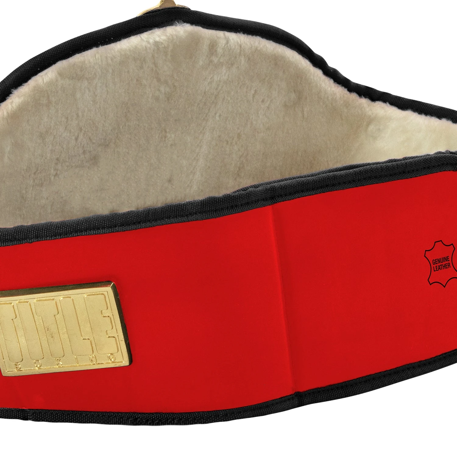 Title Boxing Torch Belt 15 Title Boxing Torch Belt - Image 13
