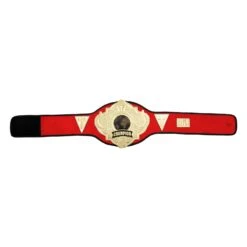 Title Boxing Torch Belt 31 Title Boxing Torch Belt -Cheap Boxing Gear Store CLTB25 RD 6