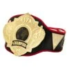 Title Boxing Torch Belt -Cheap Boxing Gear Store CLTB25 1