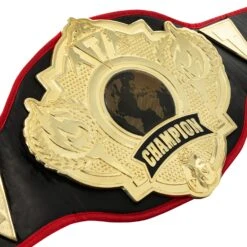 Title Boxing Torch Belt 20 Title Boxing Torch Belt -Cheap Boxing Gear Store CLTB25 3