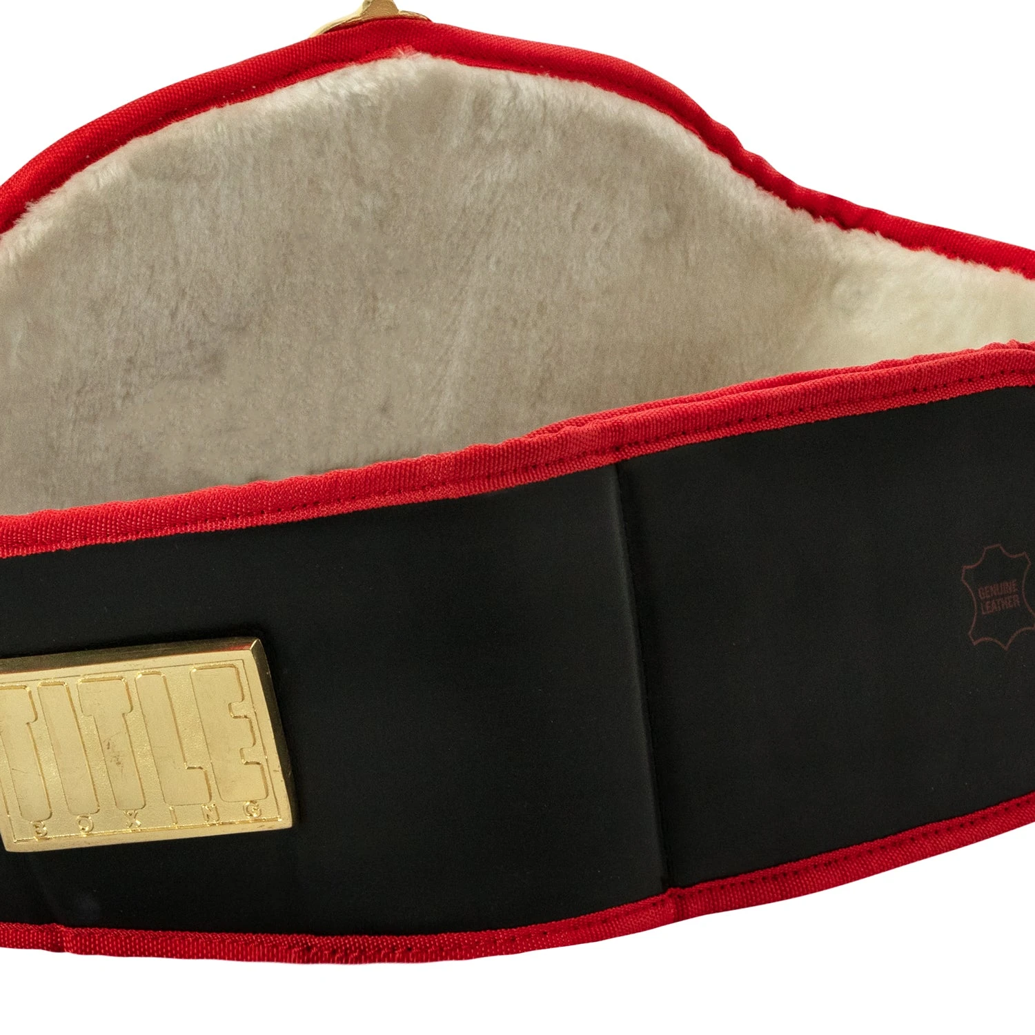 Title Boxing Torch Belt 7 Title Boxing Torch Belt - Image 5