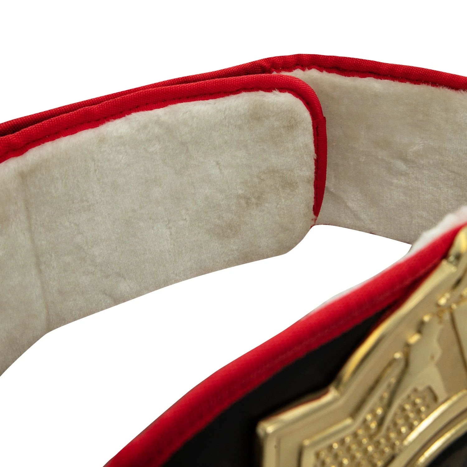 Title Boxing Torch Belt 8 Title Boxing Torch Belt - Image 6