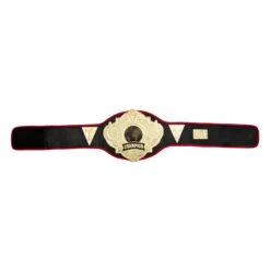 Title Boxing Torch Belt 23 Title Boxing Torch Belt -Cheap Boxing Gear Store CLTB25 6