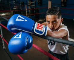 TITLE Classic Pro Style Training Gloves 3.0 -Cheap Boxing Gear Store CVVTG3BL 1