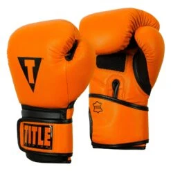 TITLE Boxing Dauntless Training Gloves -Cheap Boxing Gear Store DNTTG OR BK 2