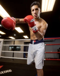 Fighting Professional Boxing Trunks 27 Fighting Professional Boxing Trunks -Cheap Boxing Gear Store FPSTWHBL