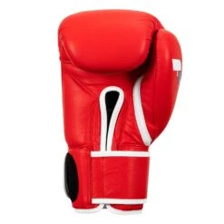 Fighting Fury Professional Training Gloves -Cheap Boxing Gear Store FSFTGE RD 04