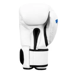 Fighting Fury Professional Training Gloves -Cheap Boxing Gear Store FSFTGE WH 04