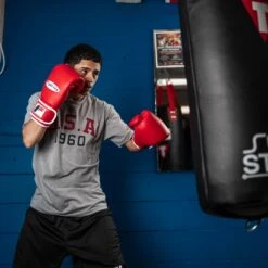 Fighting Fury Professional Training Gloves -Cheap Boxing Gear Store FSFTGERD