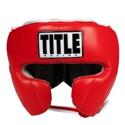 TITLE Boxing Leather Sparring Headgear -Cheap Boxing Gear Store FTHG RD 2