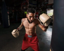 TITLE Boxing Honorary Bag Gloves -Cheap Boxing Gear Store GOSBGTNMR 1