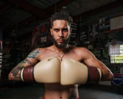 TITLE Boxing Honorary Bag Gloves -Cheap Boxing Gear Store GOSBGTNMR 2