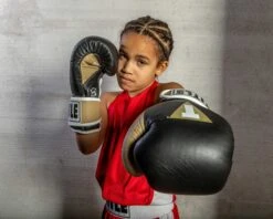 TITLE Boxing Gel World V2T Bag Gloves 40 TITLE Boxing Gel World V2T Bag Gloves -Cheap Boxing Gear Store GTWBGV2T BK GD WH