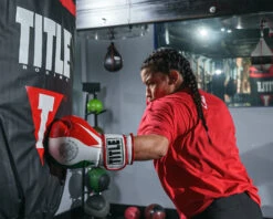 TITLE Boxing Infused Foam El Combate Mexico Training Gloves -Cheap Boxing Gear Store HIFXTGMEX 2