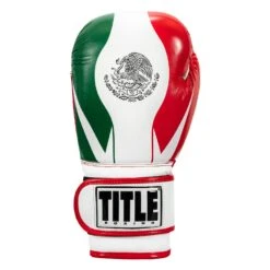 TITLE Boxing Infused Foam El Combate Mexico Training Gloves -Cheap Boxing Gear Store HIFXTG 3