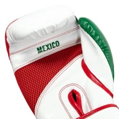 TITLE Boxing Infused Foam El Combate Mexico Training Gloves -Cheap Boxing Gear Store HIFXTG 5