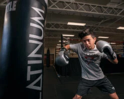 TITLE Platinum Prolific Training Gloves -Cheap Boxing Gear Store PLTGSVBK 1 1