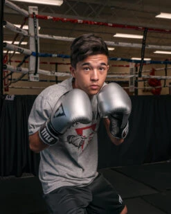 TITLE Platinum Prolific Training Gloves -Cheap Boxing Gear Store PLTGSVBK 1 2