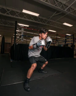 TITLE Platinum Prolific Training Gloves -Cheap Boxing Gear Store PLTGSVBK 1 3