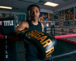 TITLE Boxing Sugar Ray Leonard Leather Bag Gloves -Cheap Boxing Gear Store SRLBG 2 1