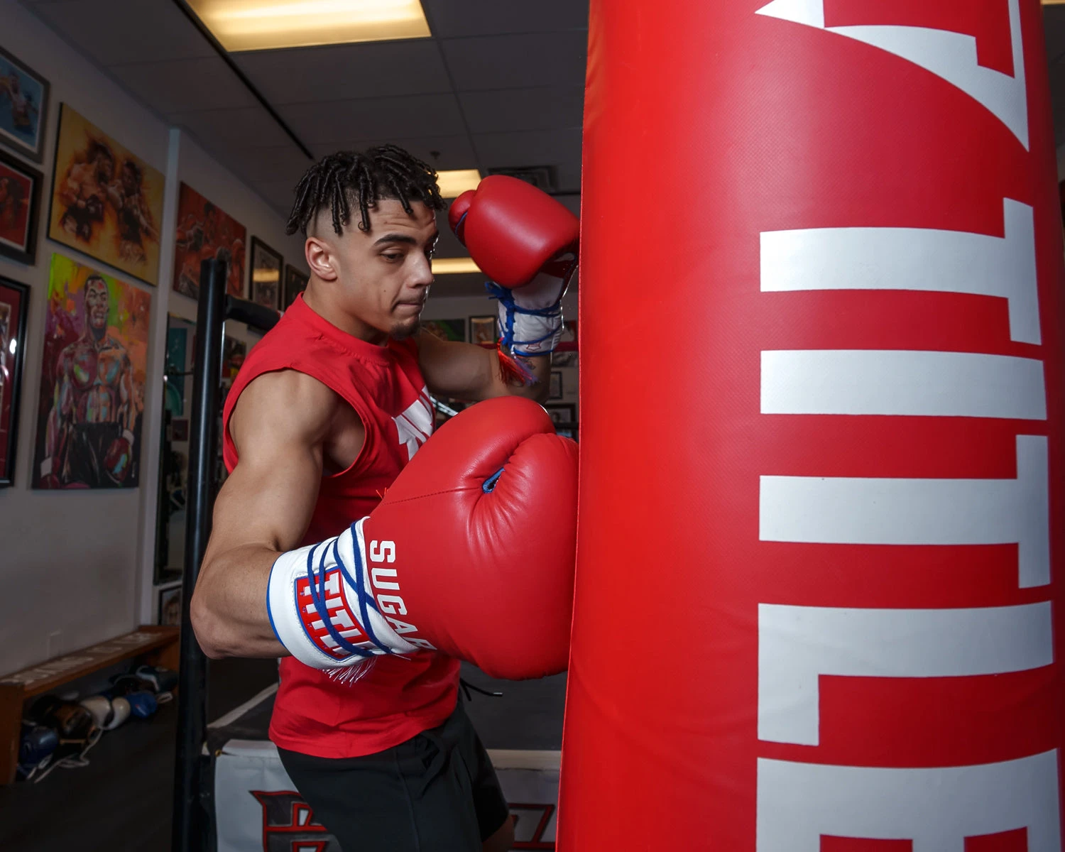 TITLE Boxing Sugar Ray Leonard Signature Leather Sparring Gloves 12 TITLE Boxing Sugar Ray Leonard Signature Leather Sparring Gloves - Image 10