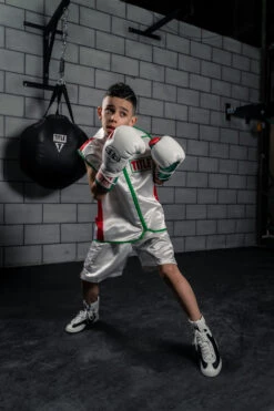 TITLE Boxing Sleeveless Ring Vest -Cheap Boxing Gear Store SSTVWH RD GN