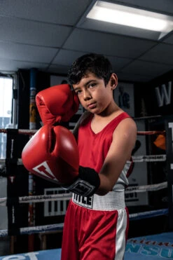 TITLE Boxing Aerovent Elite Amateur Set - Original 33 TITLE Boxing Aerovent Elite Amateur Set - Original -Cheap Boxing Gear Store TABSRD