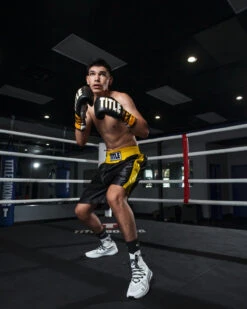 TITLE Boxing Edge Boxing Trunks 2.0 -Cheap Boxing Gear Store TBTC2BKGD