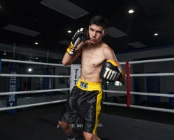 TITLE Boxing Edge Boxing Trunks 2.0 -Cheap Boxing Gear Store TBTC2BKGD2