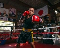 TITLE Boxing Edge Boxing Trunks -Cheap Boxing Gear Store TBTC2BKGD 2 3bfa2e68 ab0b 4f13 acb6 4f1710e57898