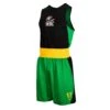 WBC By TITLE Boxing Amateur Competition Outfit -Cheap Boxing Gear Store WBCTABS BK GN 1
