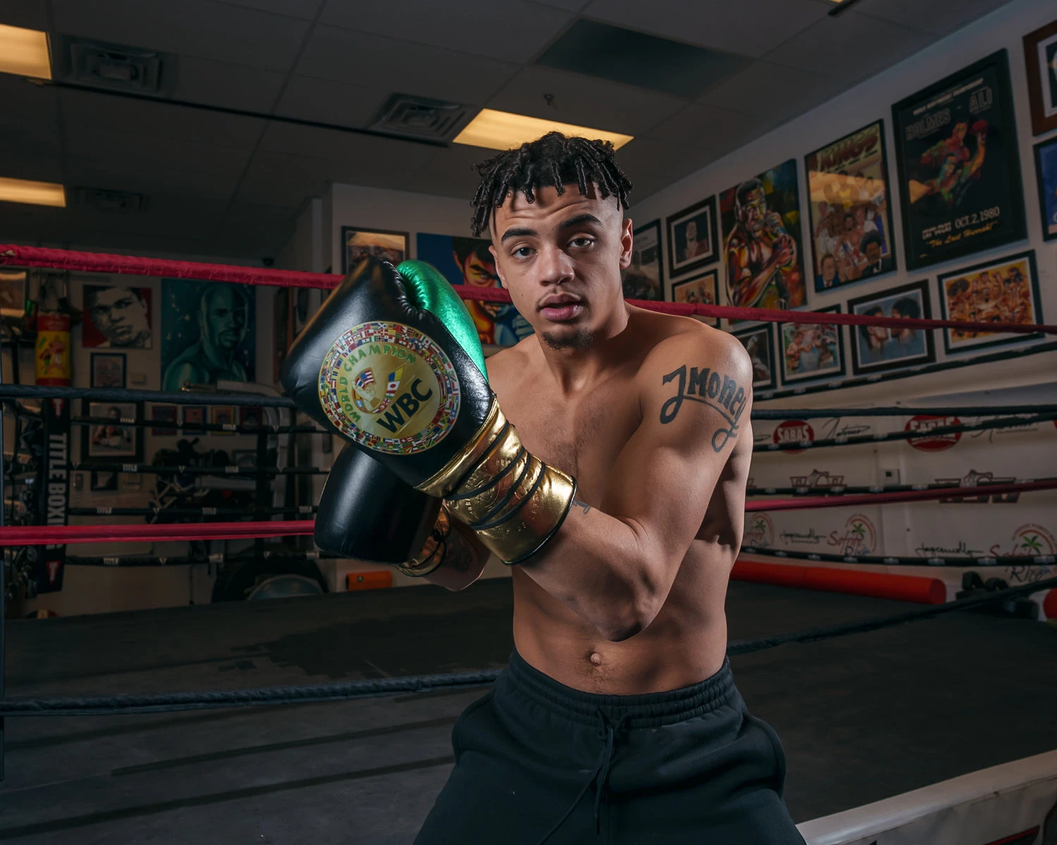 WBC By TITLE Boxing Green Belt Sparring Gloves 9 WBC By TITLE Boxing Green Belt Sparring Gloves - Image 7