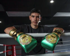 WBC By TITLE Boxing Green Belt Sparring Gloves 35 WBC By TITLE Boxing Green Belt Sparring Gloves -Cheap Boxing Gear Store WGBSGGDGNBK 2