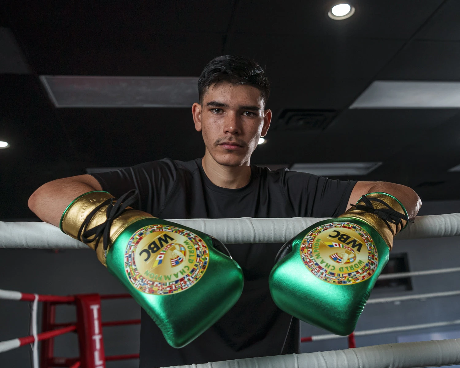 WBC By TITLE Boxing Green Belt Sparring Gloves 19 WBC By TITLE Boxing Green Belt Sparring Gloves - Image 17