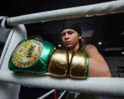 WBC By TITLE Boxing Green Belt Sparring Gloves 34 WBC By TITLE Boxing Green Belt Sparring Gloves -Cheap Boxing Gear Store WGBSGGNBK 2