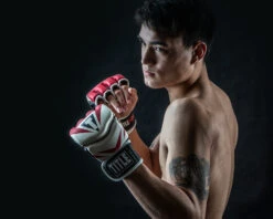 TITLE MMA Command Pro Fight Gloves -Cheap Boxing Gear Store XMCPFG RD