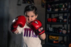 TITLE Boxing Youth Bag Gloves -Cheap Boxing Gear Store YTBBGRD BK